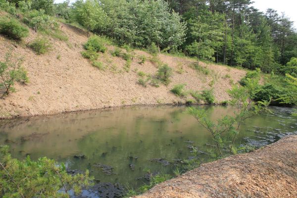 Pond Erosion Repair in Mechanicsville